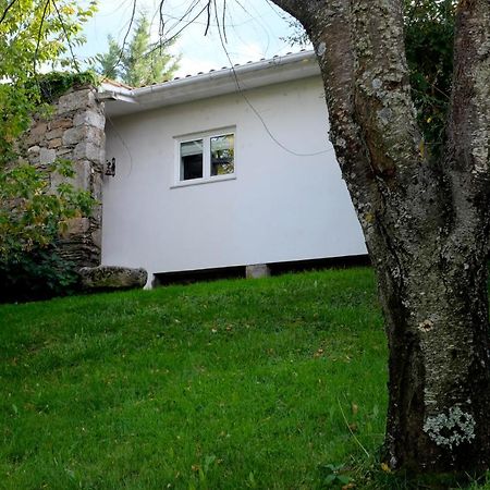 비미오소 Casa Do Galo / Galo House 빌라 외부 사진
