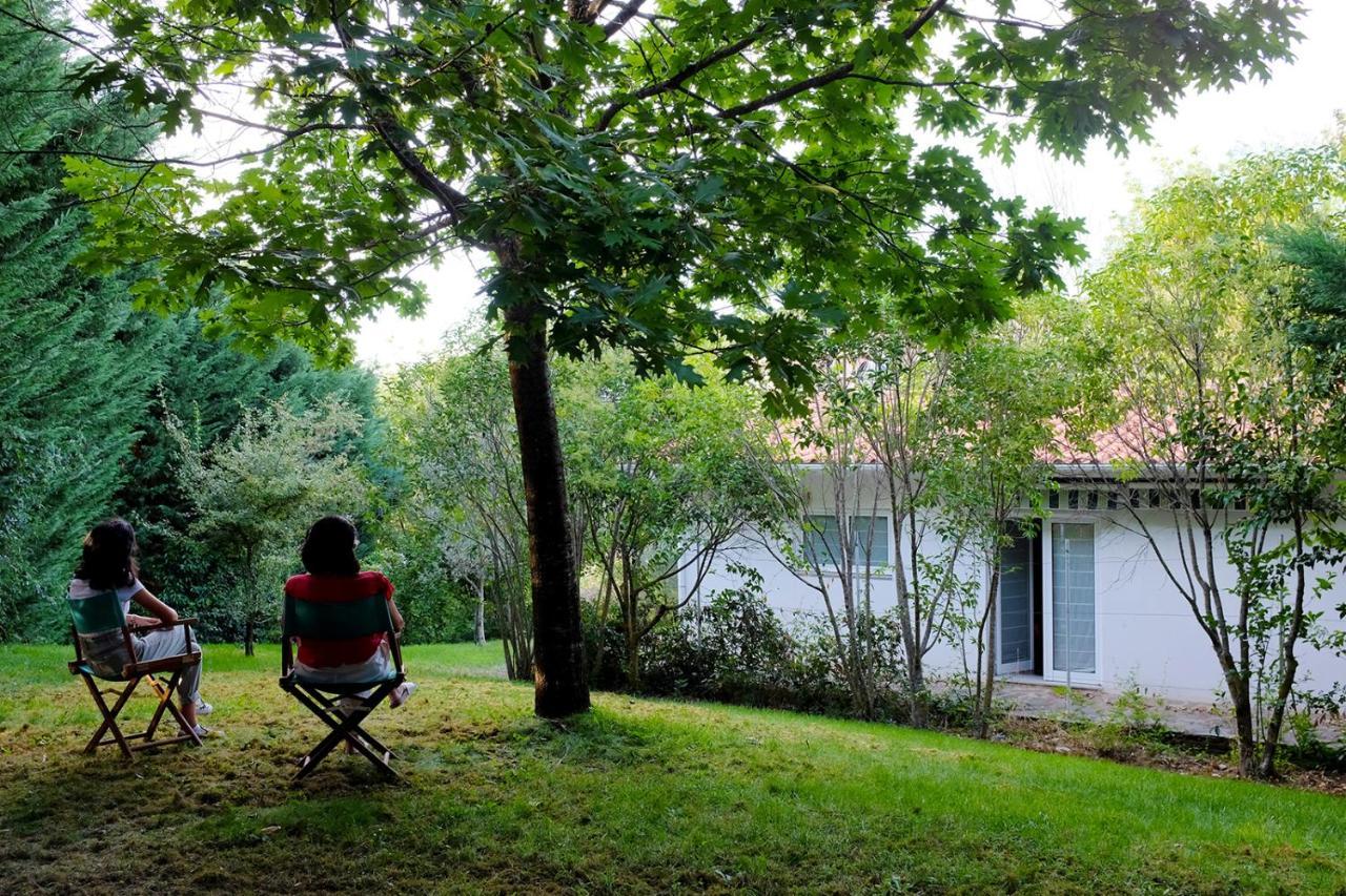 비미오소 Casa Do Galo / Galo House 빌라 외부 사진